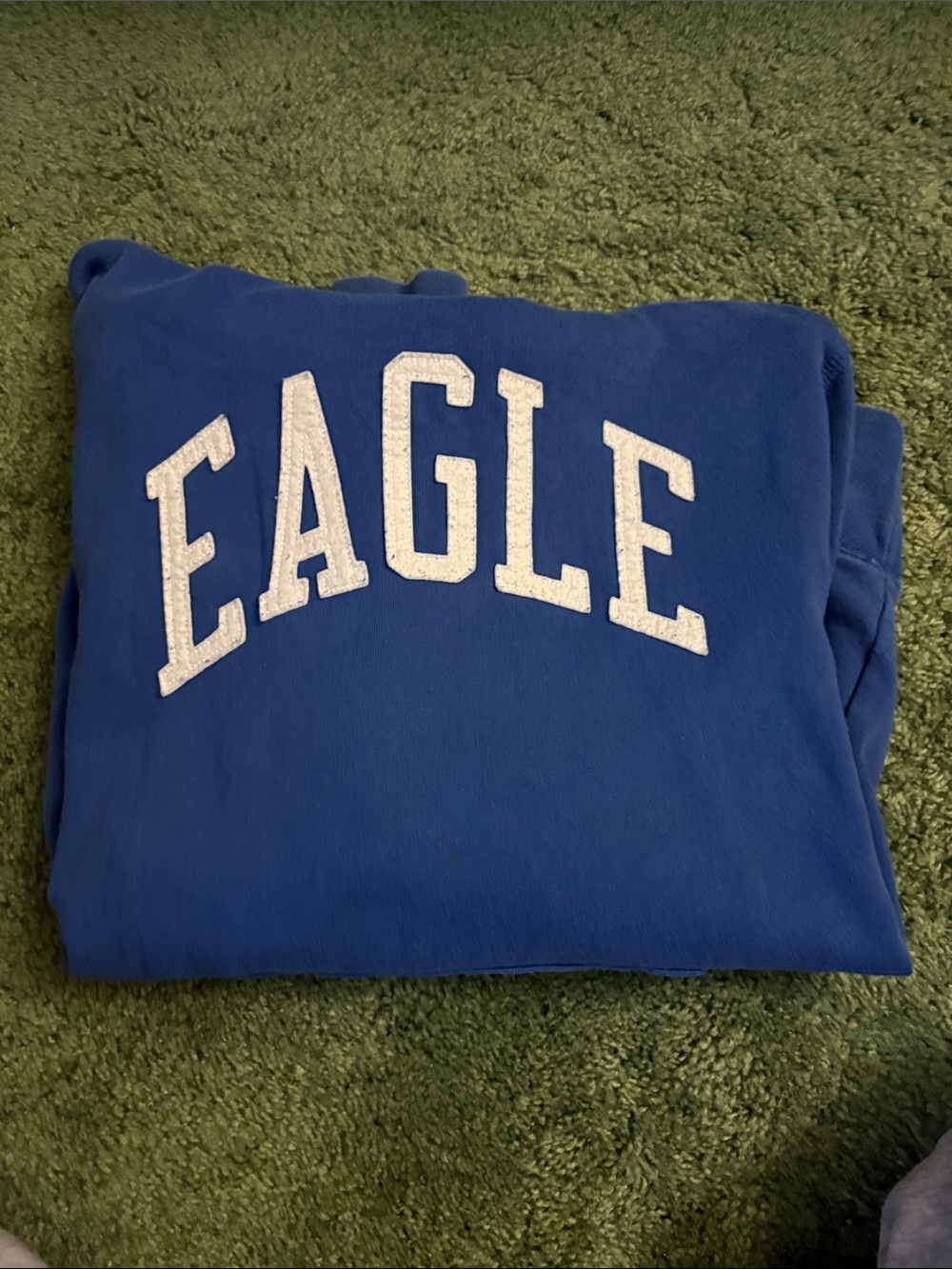 American Eagle Blue Hoodie